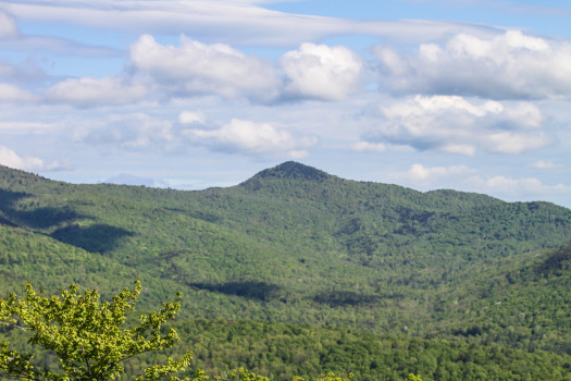 100 mile ultra, pittsfield vermont, vt, peak, ultra, marathon, 100 miler