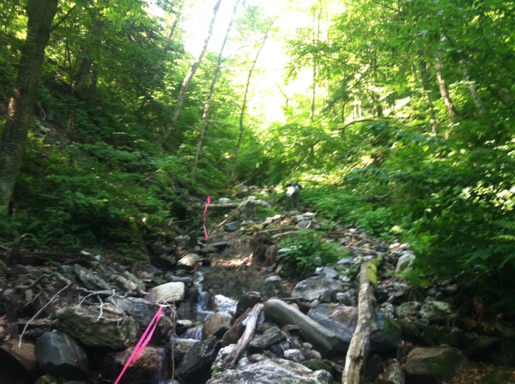 Part of the Ravine Shortcuts