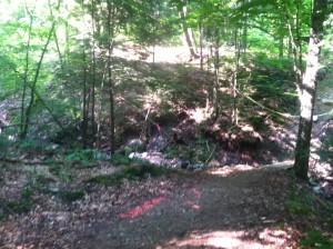 The Ravine Death Race Ravine Shortcut