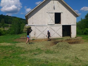 Stack Hay in the Barn House