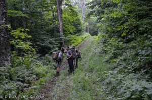 never ending hike up bloodroot