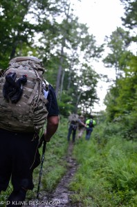 Hiking Bloodroot