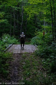 Bloodroot Bridge