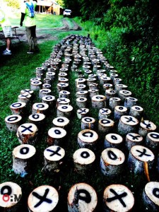 logs for bloodroot